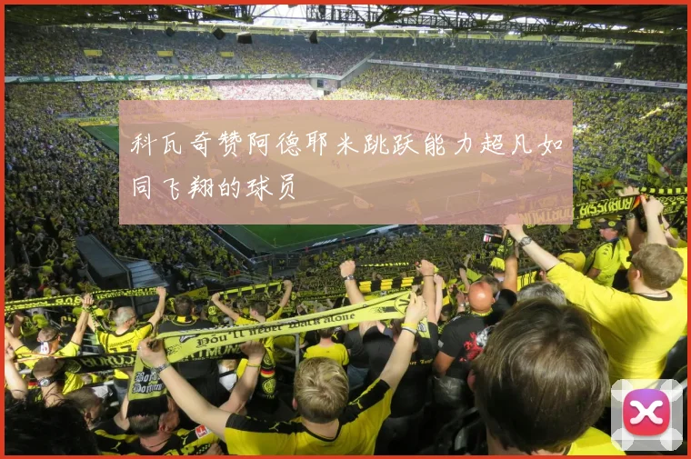 科瓦奇赞阿德耶米跳跃能力超凡如同飞翔的球员