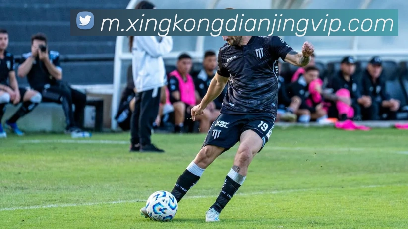 星空电竞平台生态图