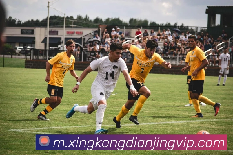 数据防护可视化